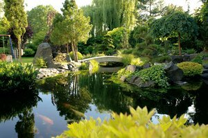 Drei Schritte zum traumhaften Gartenteich